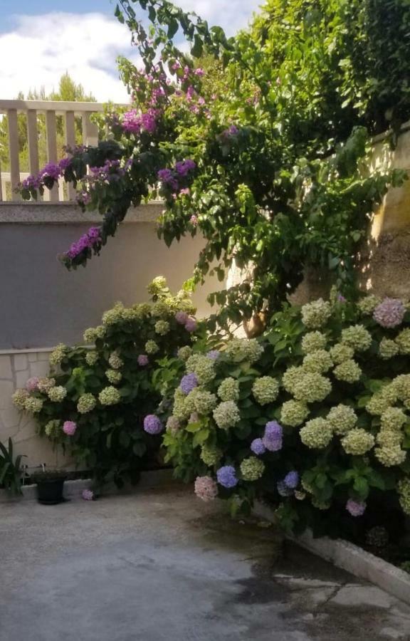 Apartment Ines Omis Exterior photo